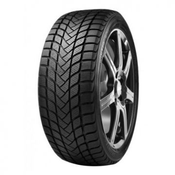 Anvelope Delinte WD 6 205/50 R17 93H