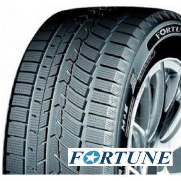 Anvelopa auto de iarna 255/45R18 103W XL FSR901