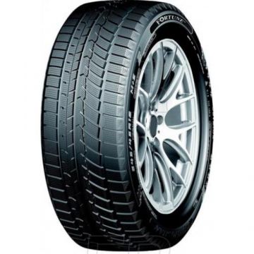 Anvelopa iarna Fortune FSR901 215/45R17 91V